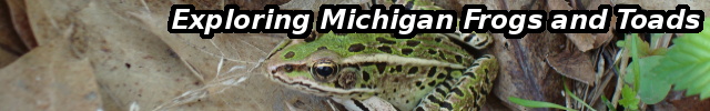 Exploring Michigan's Frogs and Toads
