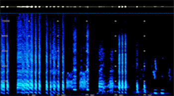 2D Spectrogram