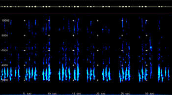 2D Spectrogram