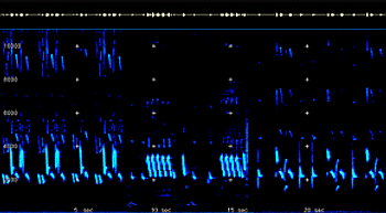 2D Spectrogram