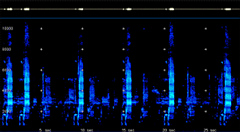 2D Spectrogram