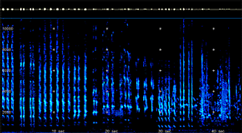 2D Spectrogram