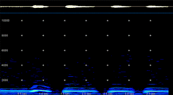 2D Spectrogram