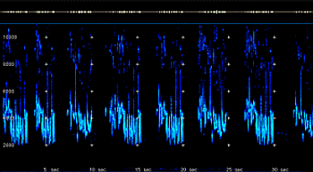 2D Spectrogram