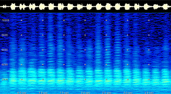 2D Spectrogram