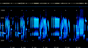 2D Spectrogram